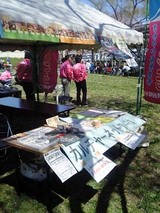 060422sakuramatsuri