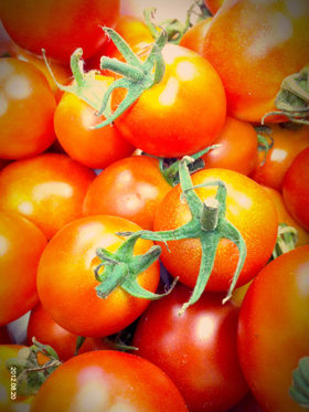 120820tomato