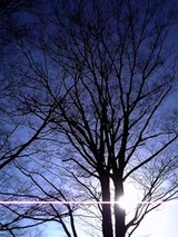060220relight