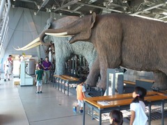 センダイゾウ