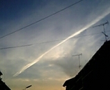 9f9788d0.jpg