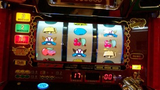 DVC00982