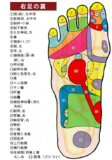 右足裏