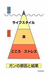 ガンの原因と結果