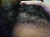 2006110604