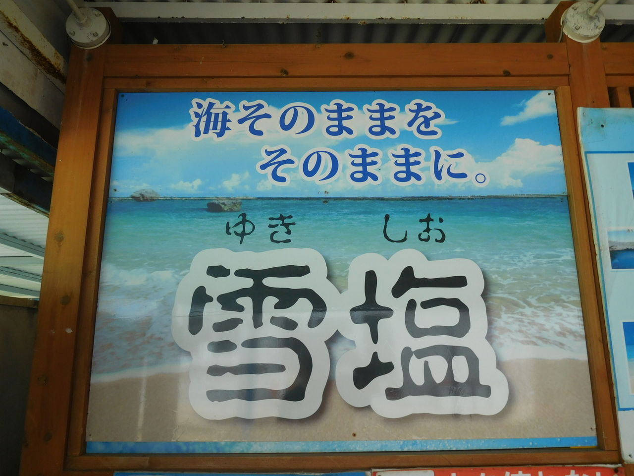 DSCN1489