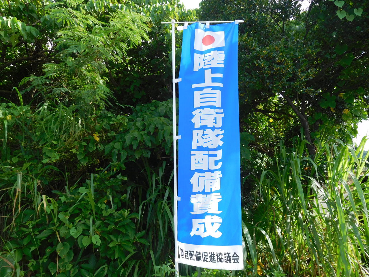 DSCN1511