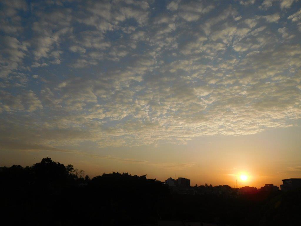 DSCN0995