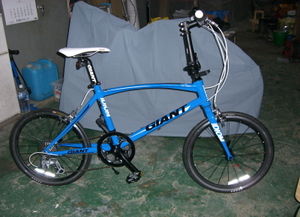 69207b36.jpg