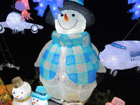 DSCN0254