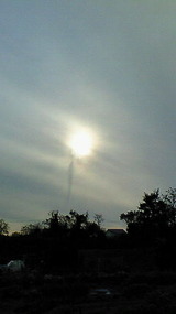 8654956f.jpg