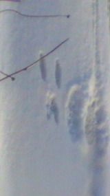 d8df8e41.jpg