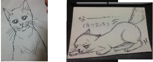 http://open2ch.net/p/oekaki-1457120239-5-490x200.png