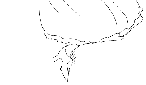 http://i.imgur.com/4LZ0kRJ.gif