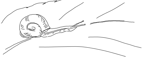 http://open2ch.net/p/oekaki-1436324761-360-490x200.png