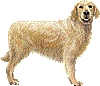 犬のイラスト無料素材