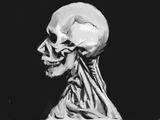 HNI_0078