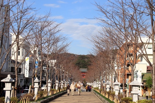 s_dankazura181107