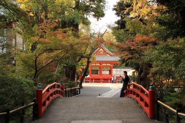 s_hachimangukoyo181107