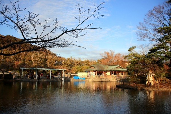 s_genjiike181107