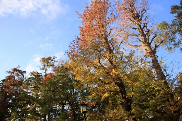 s_kokuhokan181107-2