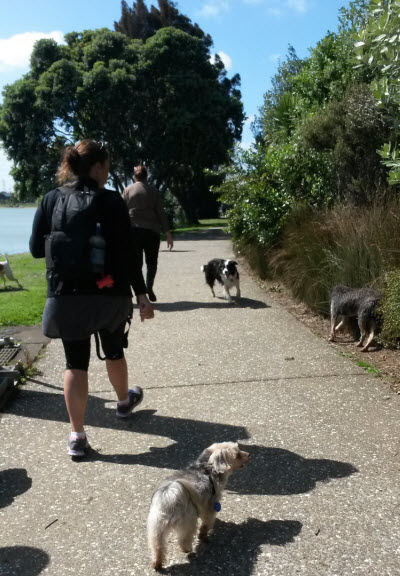 onehunga7