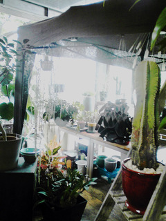 ŽÀްŽÌŽß¤Î¤¢¤¿¤ê