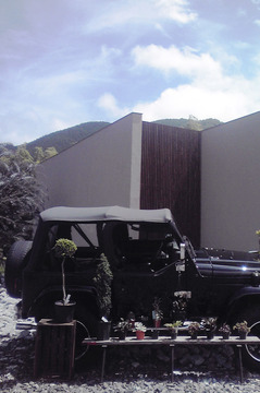 jeep&moss