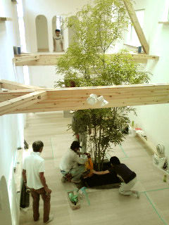 GRP_0565