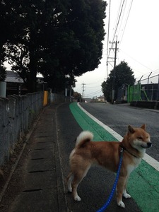 写真 2015-03-14 6 53 10