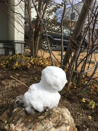 写真 2018-02-04 12 04 52