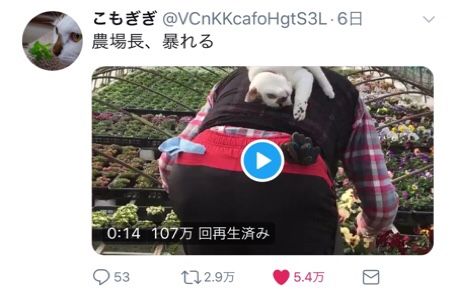2わたなべ花壇