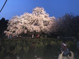 写真 2018-04-01 18 51 13