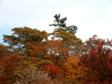 DSCN0189