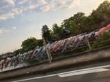 写真 2019-05-06 13 51 24