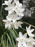 写真 2018-02-28 9 50 40