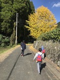 写真 2018-11-23 10 31 1200