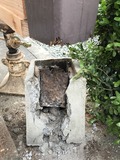 写真 2018-05-31 9 38 15