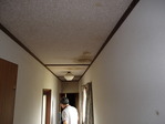 P6290005