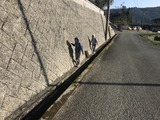 写真 2018-11-23 9 01 0722