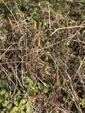 写真 2018-02-26 10 32 58