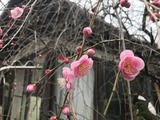 写真 2018-02-28 9 36 11