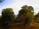 PA090003