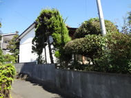 DSC02382