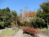 DSCN0247