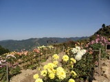 PA190032