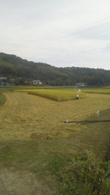 2011092514050000