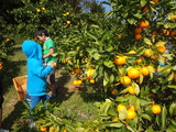 DSC04535