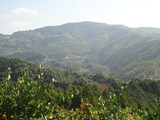 DSC04580