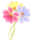 ll_sumire_ms